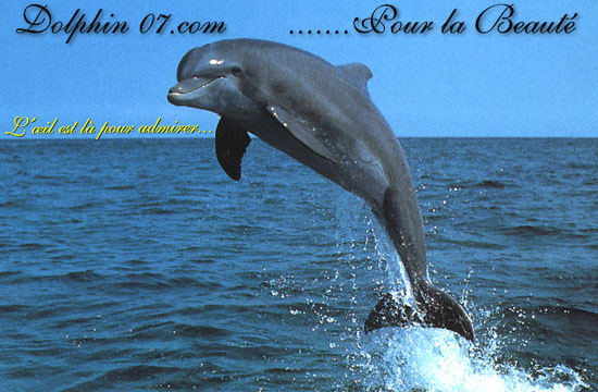 Cherchez le point de passage...(le texte en jaune vous aide)